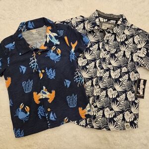 Carter's Toddler Shirt Bundle